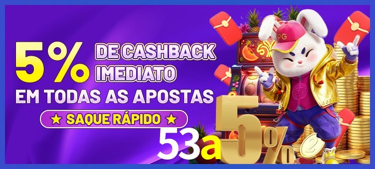 53a